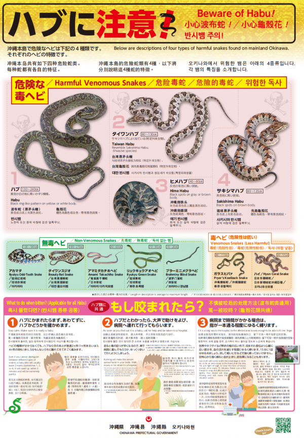 ハブに注意！