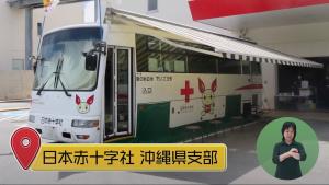 赤十字　うまんちゅ広場